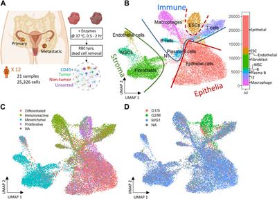 Exploring the tumor micro-environment in primary and metastatic tumors of different ovarian cancer histotypes